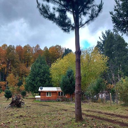 Cabana May Pao, Para 3 En Melipeuco Cerca Del Parque Nacional Conguillio Exteriér fotografie