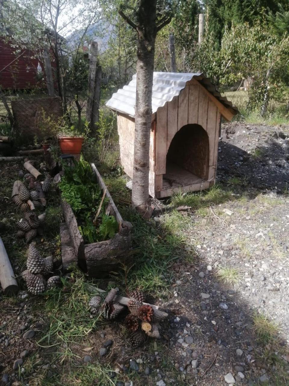 Cabana May Pao, Para 3 En Melipeuco Cerca Del Parque Nacional Conguillio Exteriér fotografie