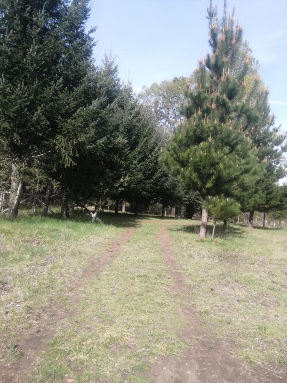 Cabana May Pao, Para 3 En Melipeuco Cerca Del Parque Nacional Conguillio Exteriér fotografie