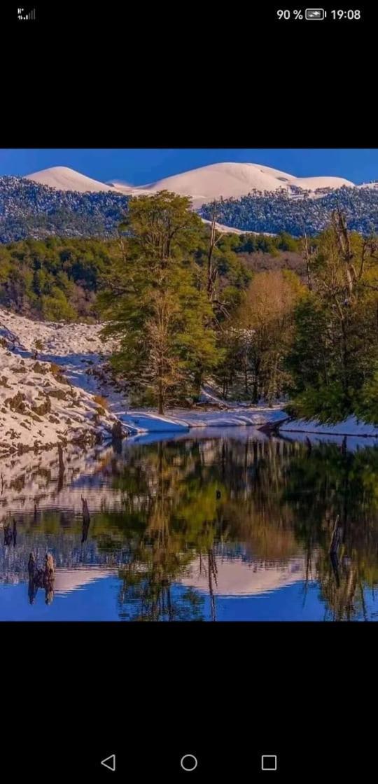 Cabana May Pao, Para 3 En Melipeuco Cerca Del Parque Nacional Conguillio Exteriér fotografie