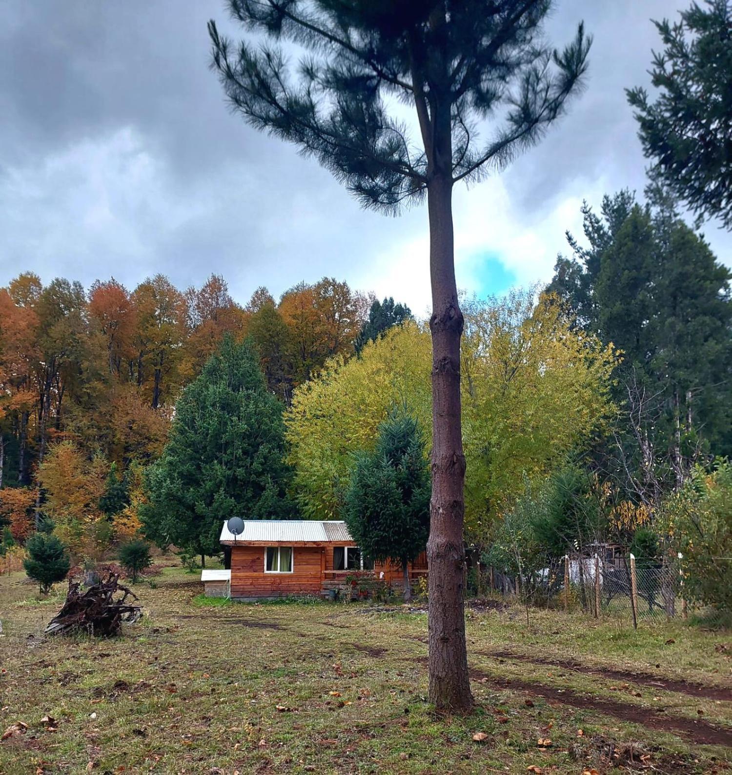 Cabana May Pao, Para 3 En Melipeuco Cerca Del Parque Nacional Conguillio Exteriér fotografie